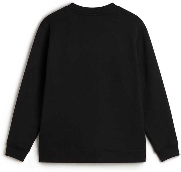 Hanorace Vans Sweatshirt With Logo BLACK Fete (BM 19432781) 2