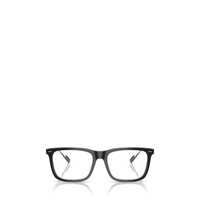 Tricouri Polo Polo Ralph Lauren Eyeglasses Barbati