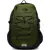 The North Face Borealis Classic" Backpack GREEN
