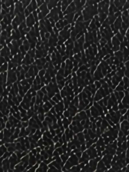 Genti de umar Stella McCartney Flap Ryder Bag BLACK Femei (BM 19483502) 5