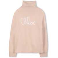 Hanorace Pull With Logo Fete