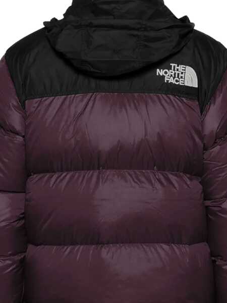 Jachete The North Face Retro Nuptse 1996 Jacket BROWN Femei (BM 19497509) 3