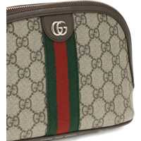 Accesorii de voiaj Dama - Accesorii de voiaj Gucci Ophidia Beauty Case OLD B.EB/N.ACERO/VRV Femei (BM 19524734) - B-mall.ro