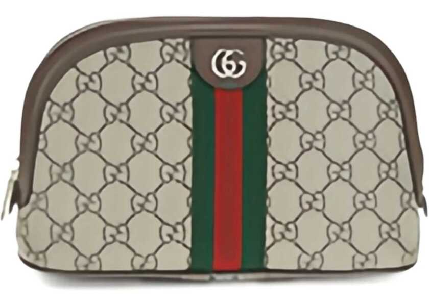 Accesorii de voiaj Gucci Ophidia Beauty Case OLD B.EB/N.ACERO/VRV Femei (BM 19524734) 1