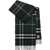 Burberry Cashmere Check Scarf ANCHOR GREEN
