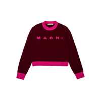 Pulovere casual Knitwear Fete