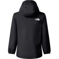 Hanorace pentru Baieti - Hanorace The North Face Jacket BLACK Baieti (BM 19546997) - B-mall.ro
