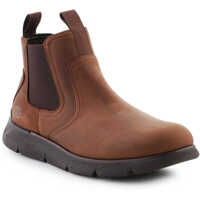 Sneakers Augustino Paulo Chocolate Barbati