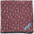 CORNELIANI Floral Patterned Linen Pocket Square Red