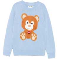 Pulovere casual "Teddy" Shirt Fete