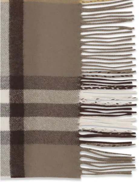 Esarfe Burberry Embroidered cashmere Scarf VOLE BROWN Femei (BM 19610408) 3