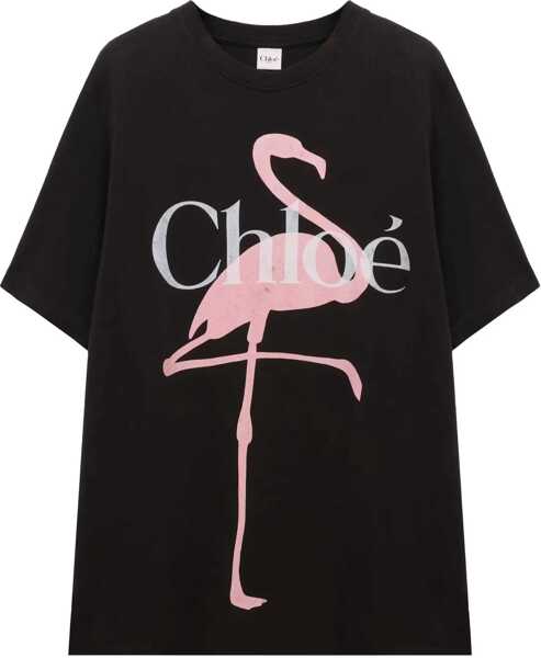 Tricouri Chloe Oversized cotton T-shirt ASH BLACK Femei (BM 19621778) 2