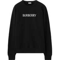 Bluze de trening Sasha Sweatshirt Barbati