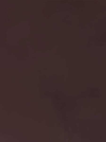 Genti tip postas Stella McCartney Shoulder Bag BROWN Femei (BM 19628549) 5