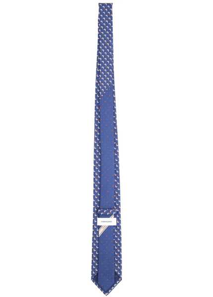 Cravate Ferragamo Silk Tie BLUE Barbati (BM 19654961) 2