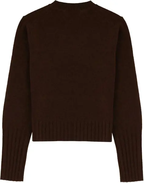 Pulovere casual GUEST IN RESIDENCE Shrunken Crew Jersey BROWN Femei (BM 19688588) 2