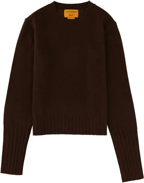 Pulovere casual GUEST IN RESIDENCE Shrunken Crew Jersey BROWN Femei (BM 19688588) 1