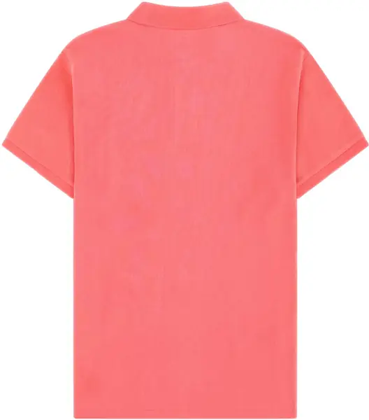 Tricouri Polo Ralph Lauren Polo With Logo RED Barbati (BM 19688783) 2