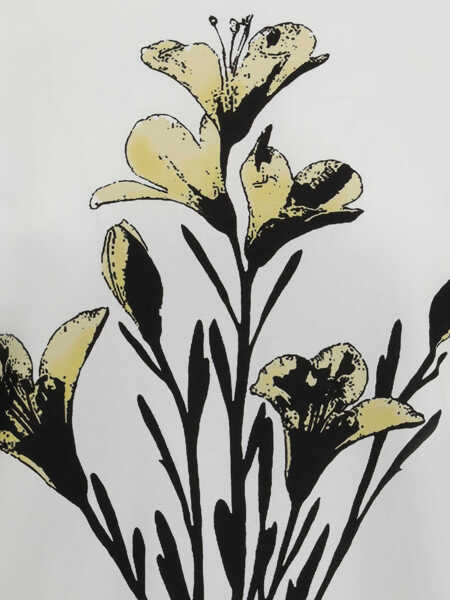 Tricouri Max Mara Guglia T-Shirt WHITE/MULTI Femei (BM 19699727) 3