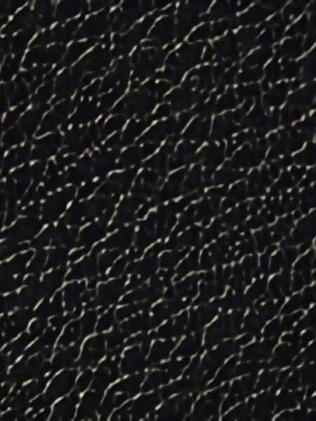 Genti de umar Stella McCartney Ryder Shoulder Bag BLACK Femei (BM 19707074) 5