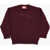 Diesel Wool Blend Kolby Crew-Neck Sweater With Monogram Burgundy