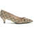 Gucci Horsebit Pumps BEIGE EBONY/COCOA