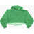 Diesel Cotton Senia Hoodie With Chiffon Detail Green