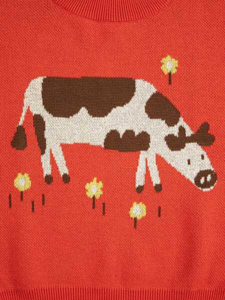 Pulovere casual Bobo Choses Farm Adventure jumper Red Baieti (BM 19735437) 3