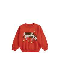 Pulovere casual Bobo Choses Farm Adventure jumper