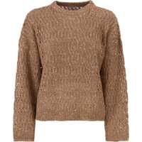 Pulovere Openwork Sweater Femei
