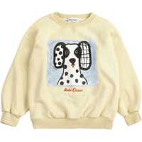 Pulovere casual "Van Dog" Jersey Baieti