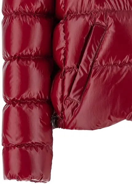 Geci de iarna Moncler Andro Short Down Jacket PINK Femei (BM 19748549) 2