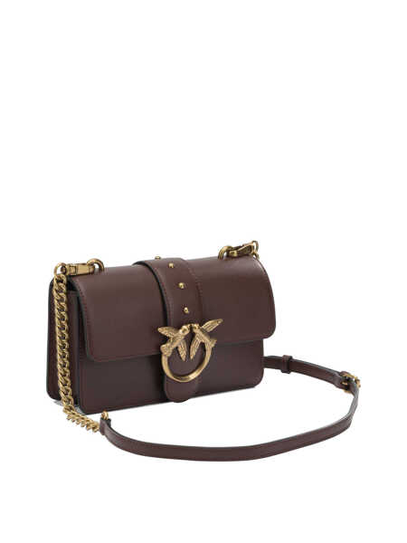 Genti tip postas Pinko Crossbody bags Brown Femei (BM 19750848) 2