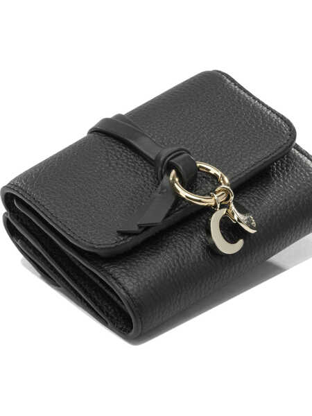 Portofele Chloe Wallets & Card holders Black Femei (BM 19765269) 4