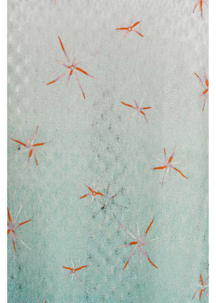 Costume de baie intregi MISSONI BEACHWEAR Long viscose lam cover-up Dress GREEN TONES Femei (BM 19771292) 3