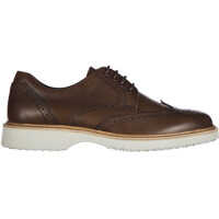 Pantofi Derby H 217 Route Barbati