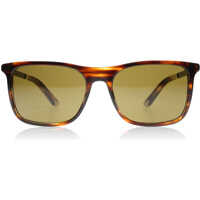 Ochelari de soare 4242 SOLE Barbati