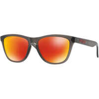 Ochelari de soare Oakley 9013 SOLE