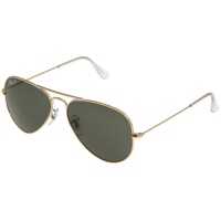 Ochelari de Soare 3025 SOLE Barbati