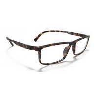 Ochelari de Vedere PISTARD5 RH283 55 1 Barbati