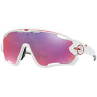 Ochelari de soare Oakley 9290 SOLE