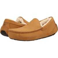 Papuci Ascot Wheat Barbati
