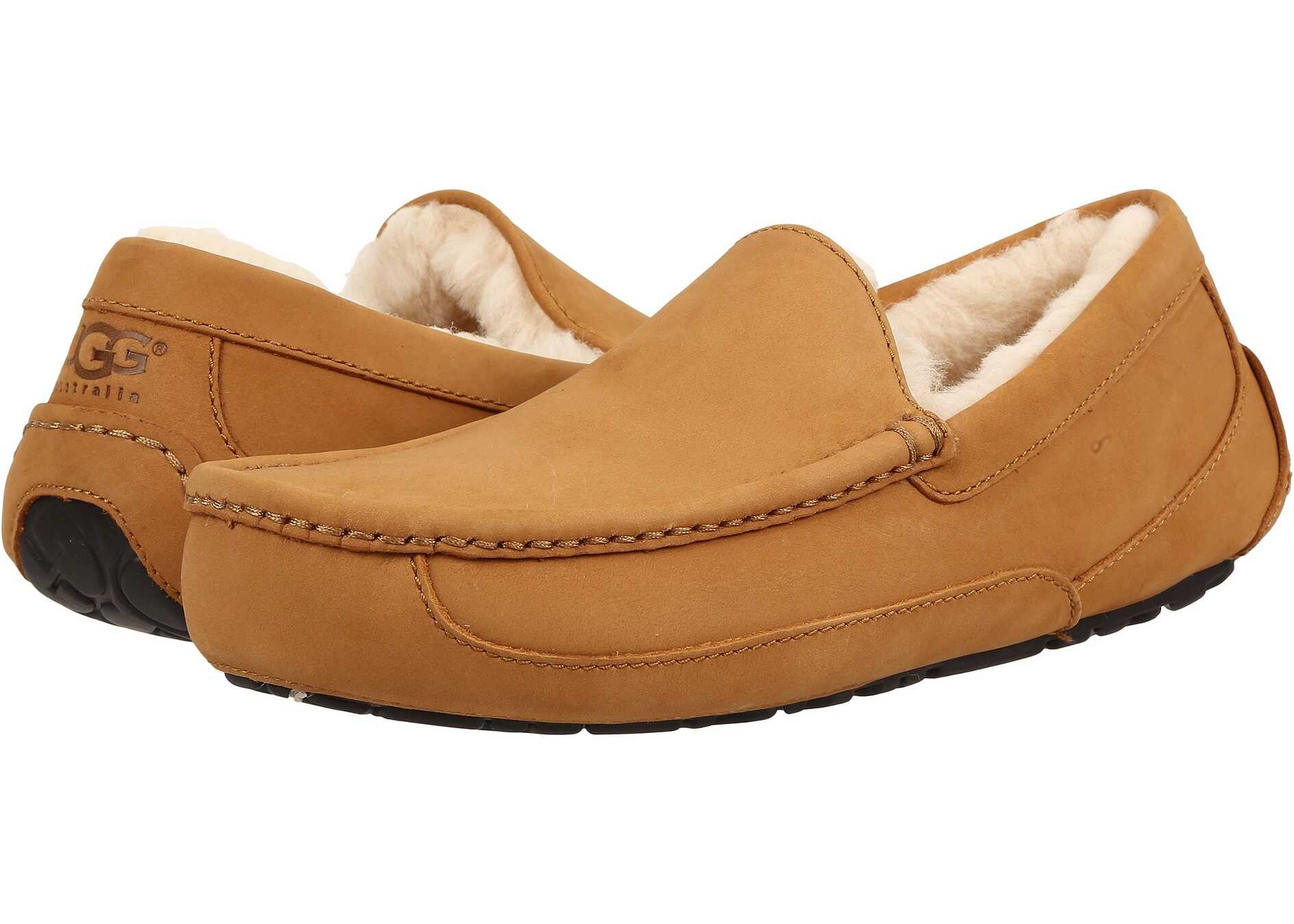 Papuc UGG Ascot Wheat Wheat