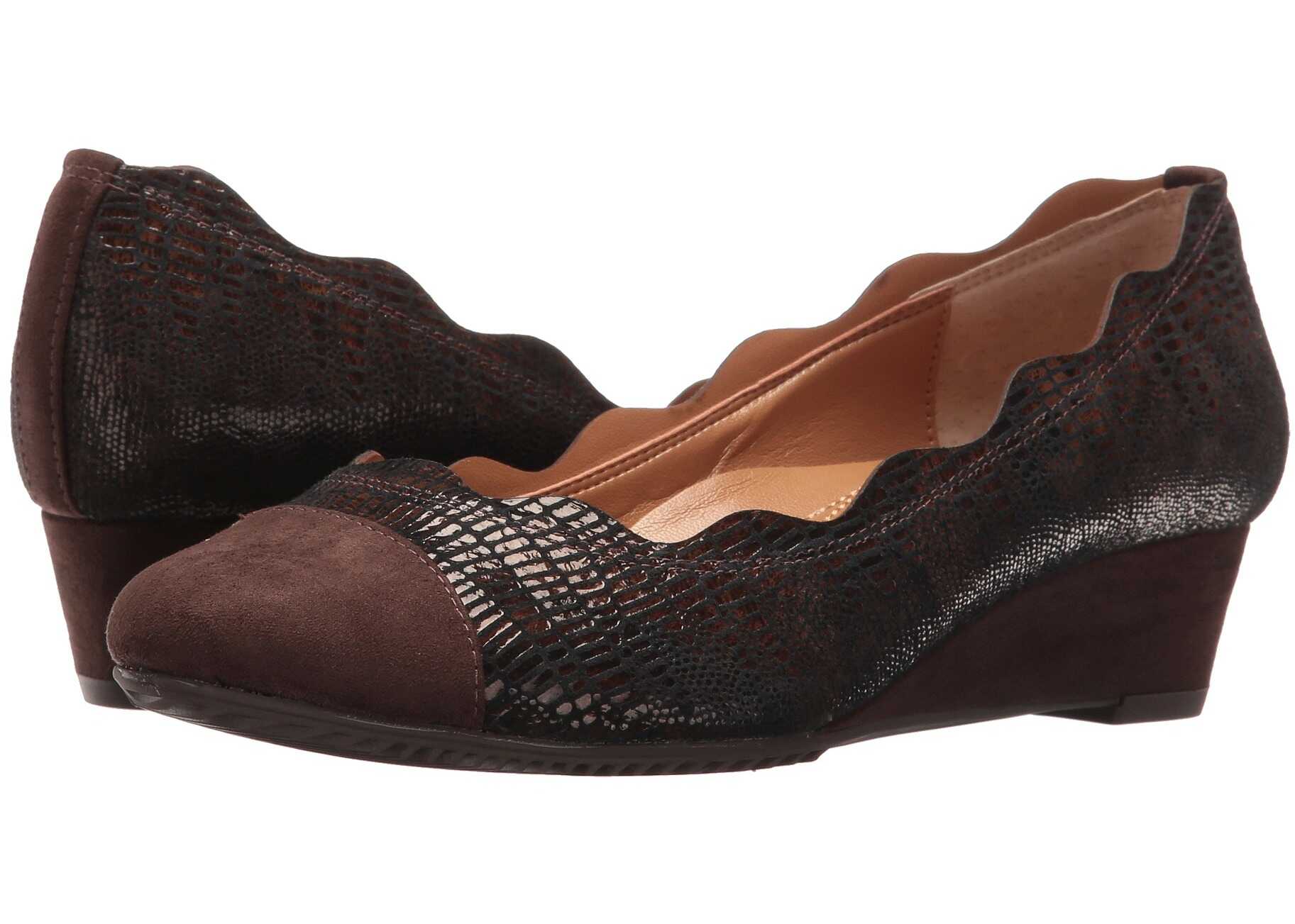 Pantof J. Renee Fedosia Chocolate