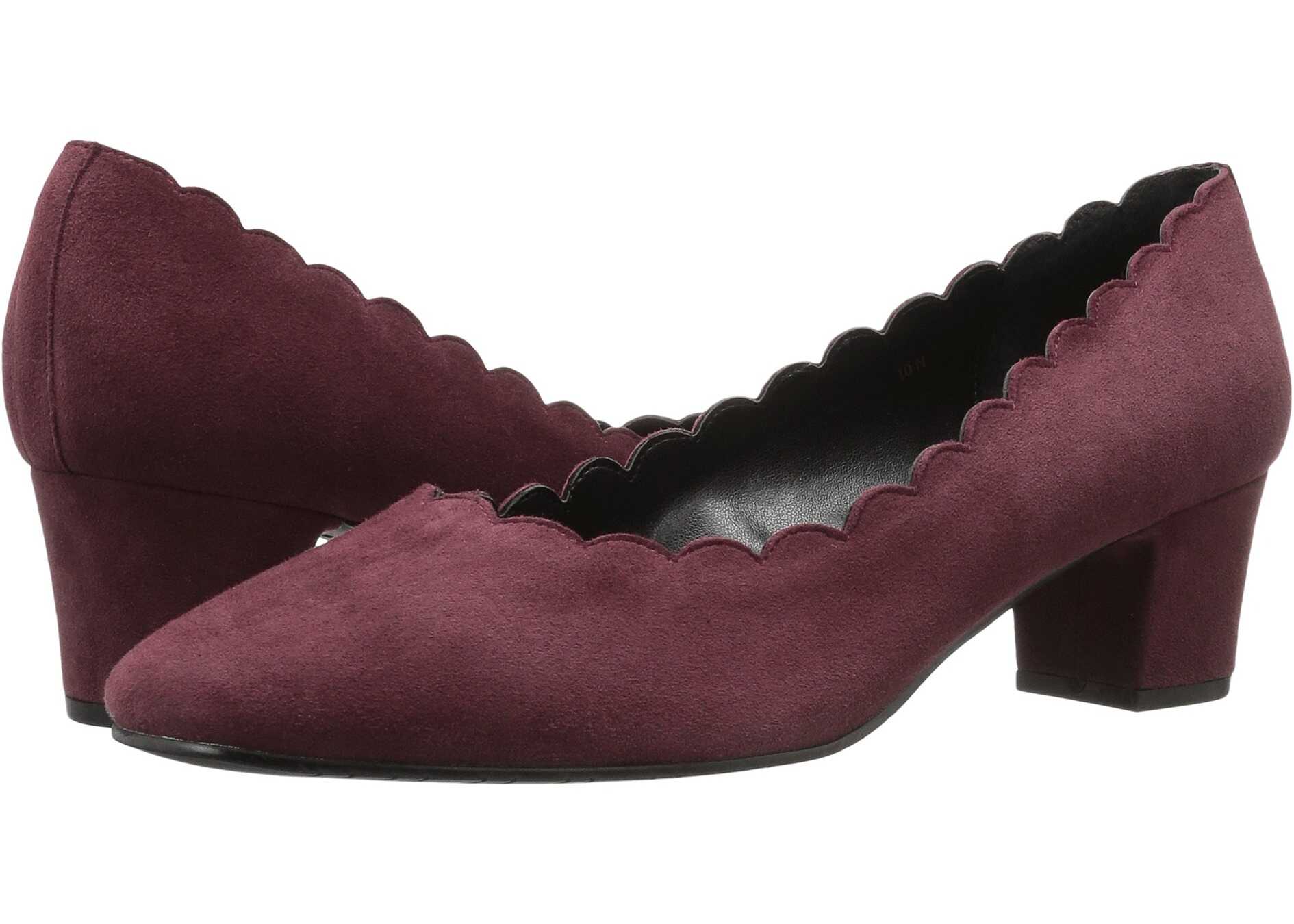 Vaneli Pegaso Bordo Suede