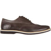 Pantofi H262 Francesina Barbati