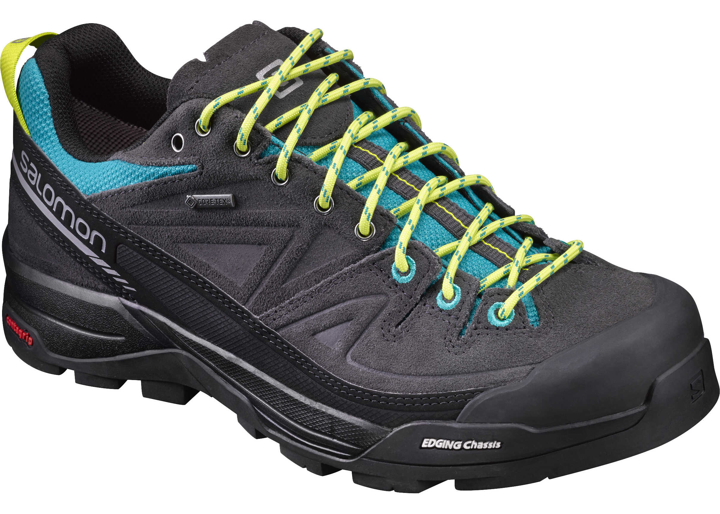 Salomon X Alp Ltr Gore-Tex® Gri