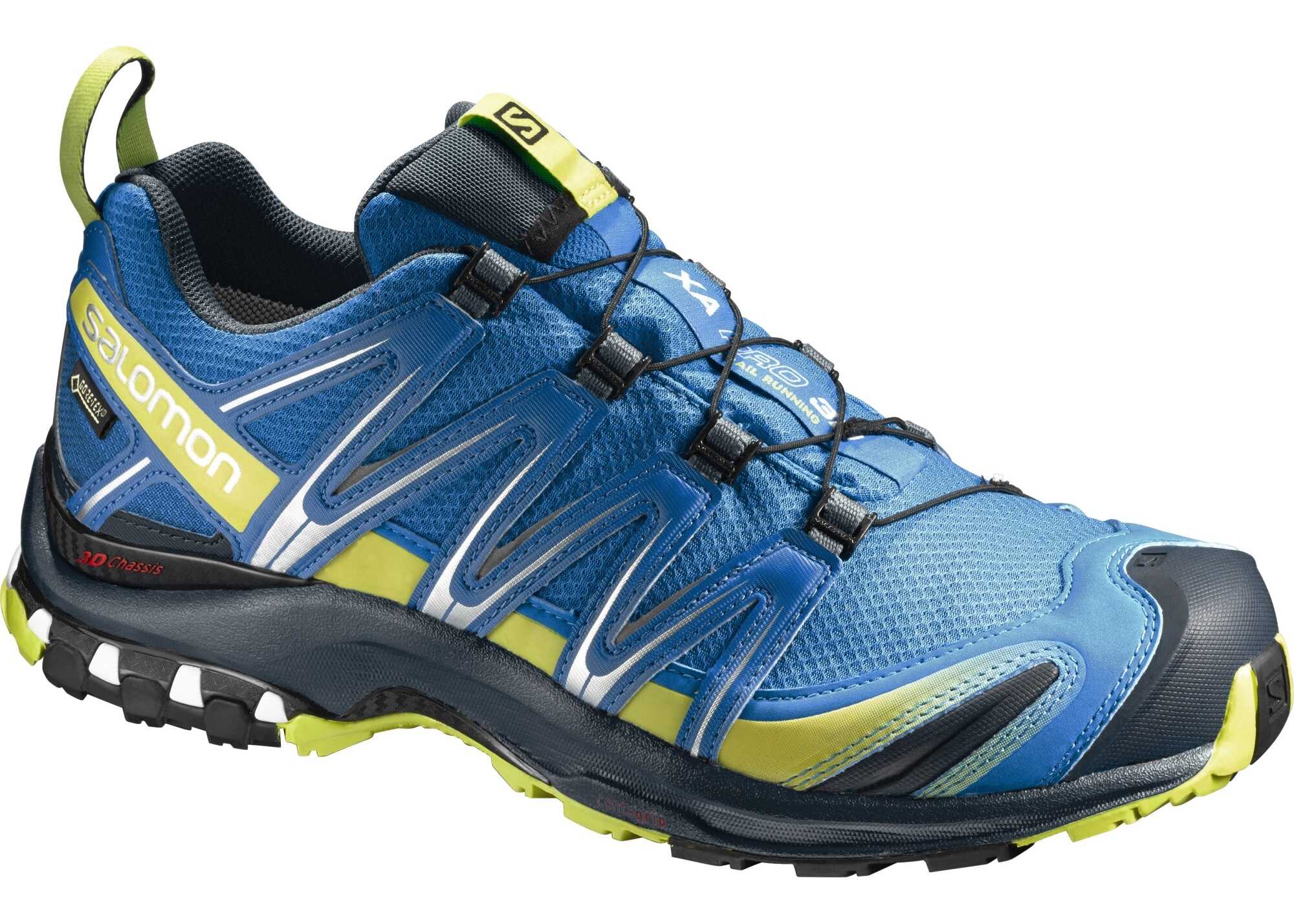 Salomon Xa Pro 3D Gore-Tex® Albastru