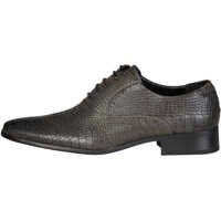 Pantofi Hector* Barbati
