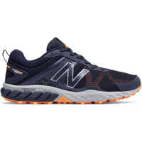 Incaltaminte Men's 610V5 Blue Sneakers Sporturi